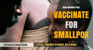 Is Smallpox Vaccination Still Practiced in Mexico Today?