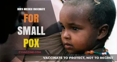 Does Mexico Vaccinate for Smallpox? Current Policies and Public Health Insights