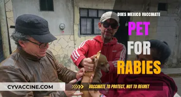 Mexico's Pet Rabies Vaccination: Policies, Practices, and Pet Owner Responsibilities