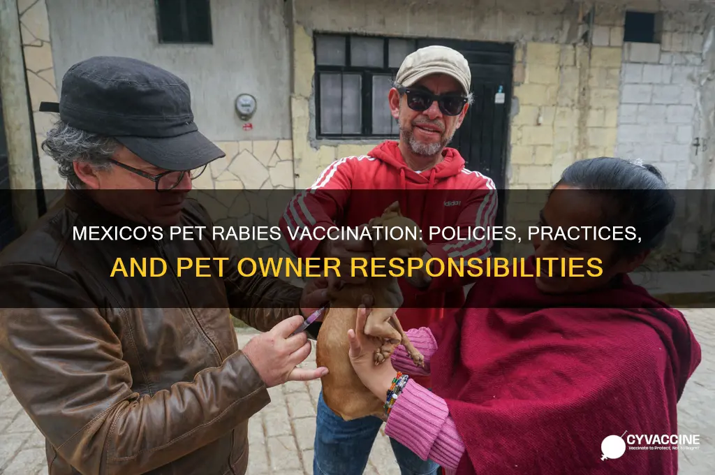 does mexico vaccinate pet for rabies