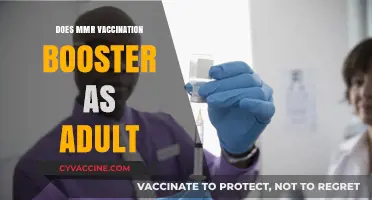 MMR Booster Shots for Adults: Necessary or Not?