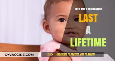 MMR Vaccination: Does Immunity Last a Lifetime? Exploring the Facts