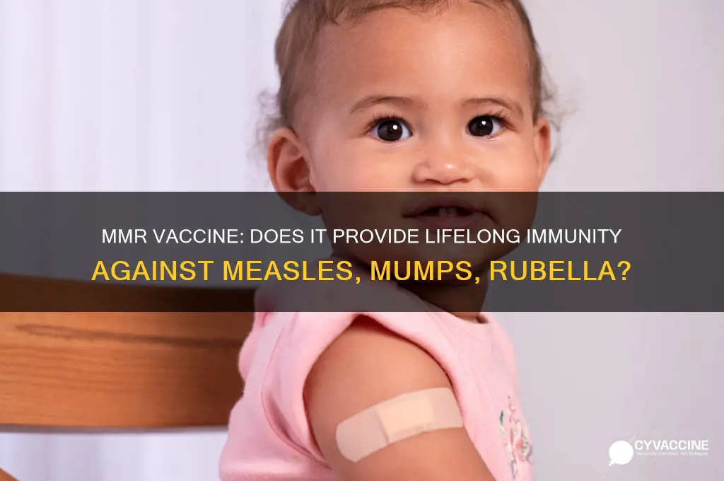 does mmr vaccine confer lifelong immunity