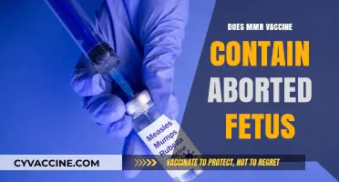 MMR Vaccine and Aborted Fetus Cells: Separating Fact from Fiction