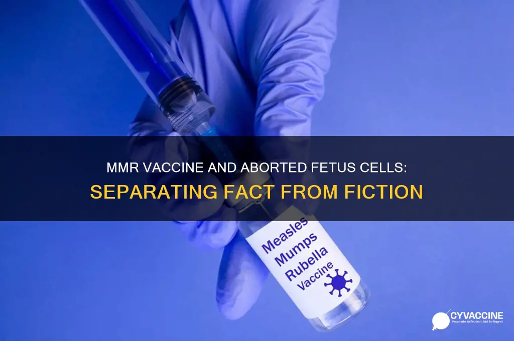 does mmr vaccine contain aborted fetus