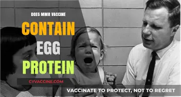 MMR Vaccine and Egg Protein: What You Need to Know