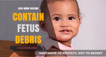 MMR Vaccine and Fetus Debris: Separating Fact from Fiction