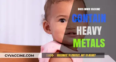 MMR Vaccine Ingredients: Debunking Heavy Metals Myths and Facts