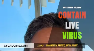 Does the MMR Vaccine Contain Live Virus? Facts and Safety Explained