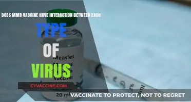 MMR Vaccine: Do Virus Strains Interact?