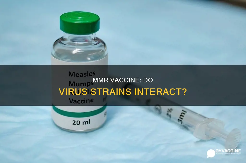 does mmr vaccine have interaction between each type of virus