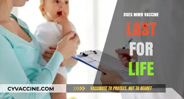 MMR Vaccine Lifespan: Does Immunity Last a Lifetime?