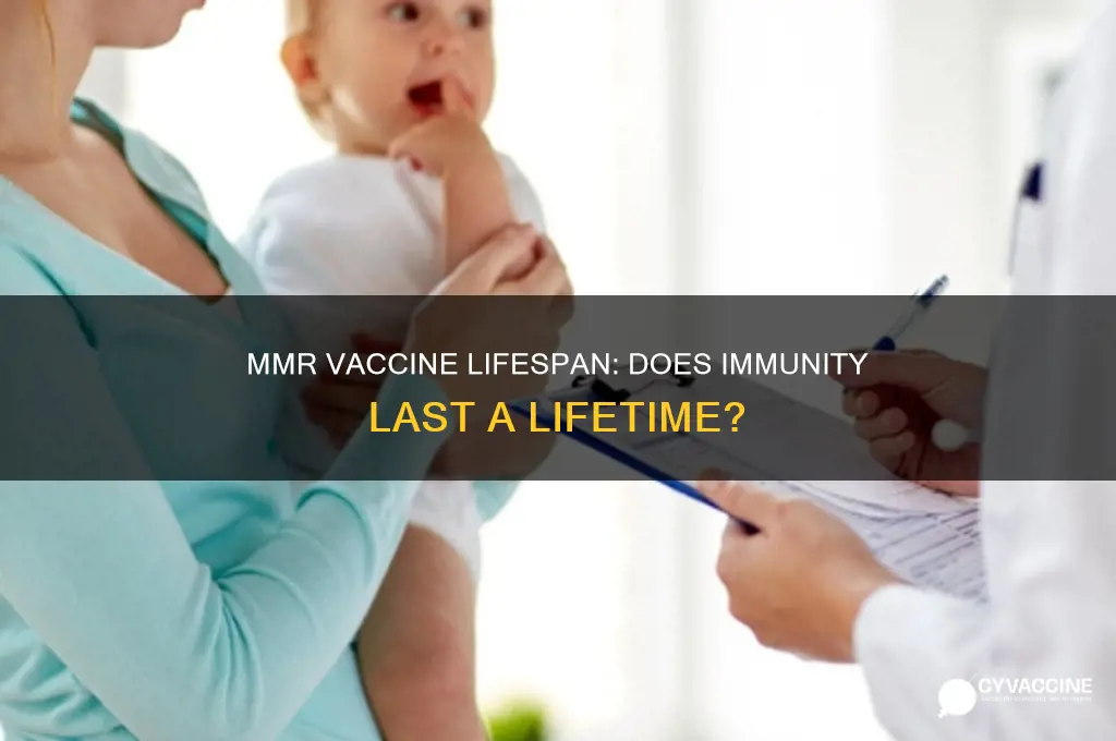does mmr vaccine last for life