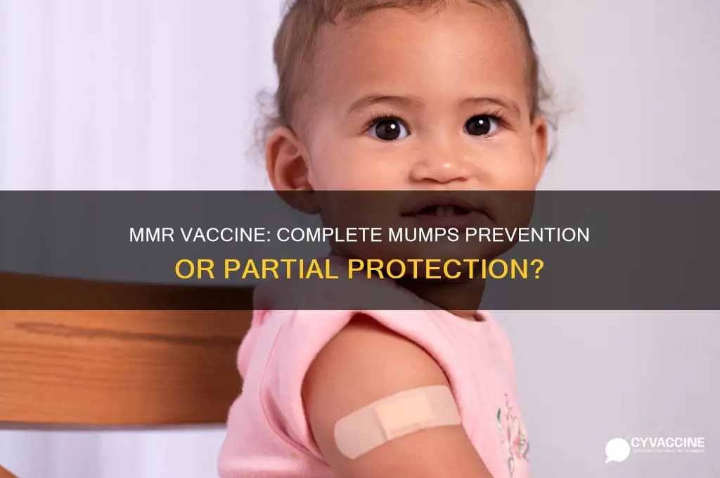 does mmr vaccine prevent mumps completely