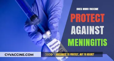 MMR Vaccine: Can It Shield Against Meningitis? What You Need to Know