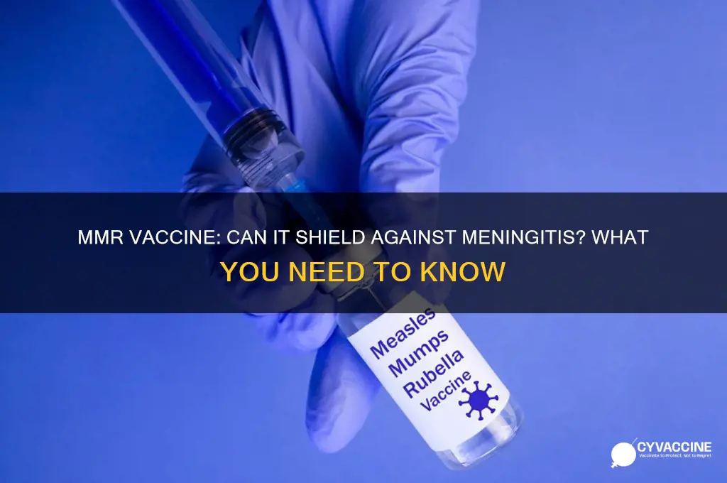 does mmr vaccine protect against meningitis