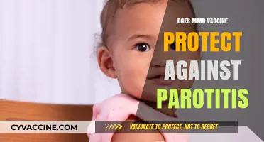 MMR Vaccine and Parotitis: Understanding Its Protective Role
