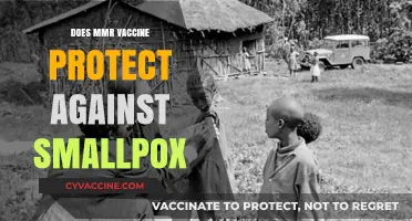 MMR Vaccine and Smallpox: Unraveling the Protection Myth or Fact?
