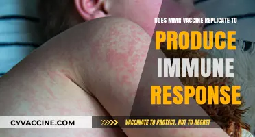 MMR Vaccine: Replication and Immune Response