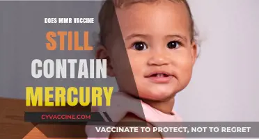 MMR Vaccine and Mercury: Current Ingredients and Safety Concerns
