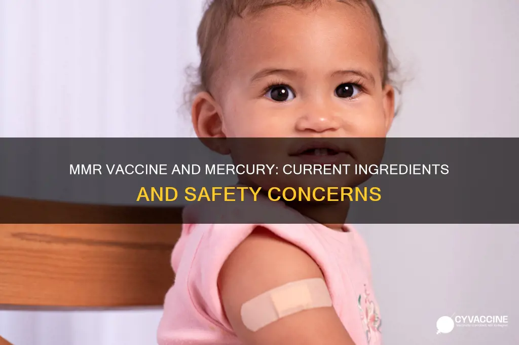 does mmr vaccine still contain mercury