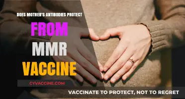 Maternal Antibodies: MMR Vaccine Protection for Babies