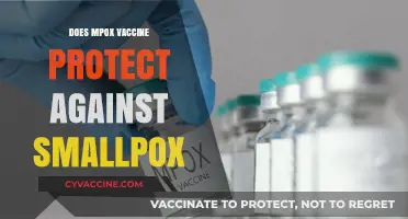 Mpox Vaccine: Cross-Protection Against Smallpox Explained and Evaluated