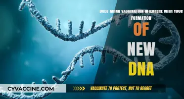 mRNA Vaccines: Interfering with Our DNA?