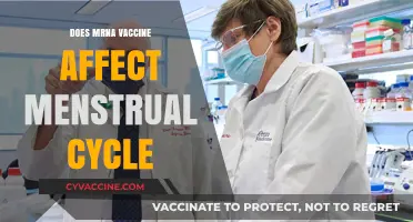 Does mRNA Vaccine Impact Menstrual Cycles? Exploring the Evidence