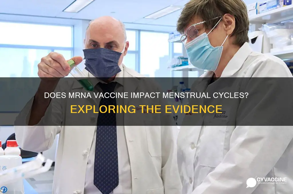 does mrna vaccine affect menstrual cycle