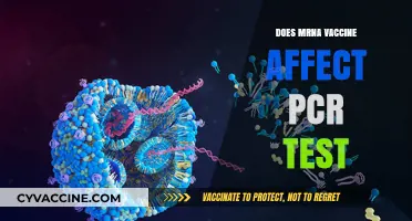 Does mRNA Vaccine Impact PCR Test Accuracy? Exploring the Connection