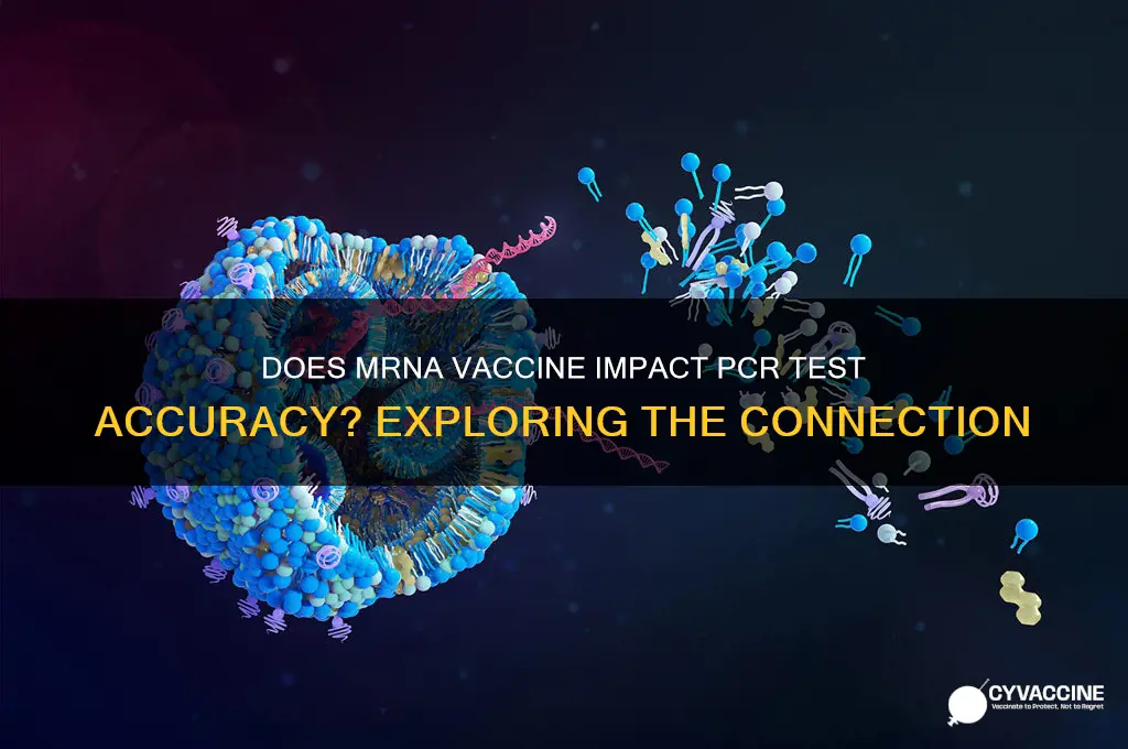 does mrna vaccine affect pcr test