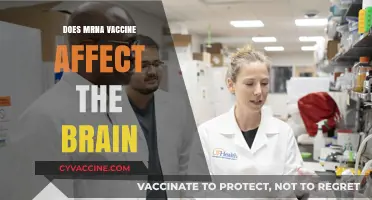 Does mRNA Vaccine Affect the Brain? Unraveling the Science and Facts