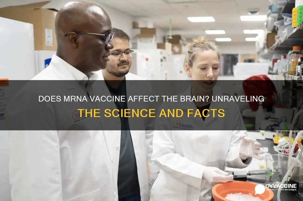 does mrna vaccine affect the brain