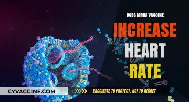 Does mRNA Vaccine Increase Heart Rate? Facts and Insights