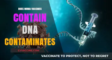 Do mRNA Vaccines Contain DNA Contaminants? Separating Fact from Fiction