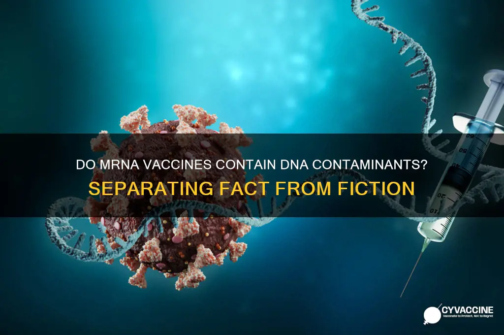 does mrna vaccines contain dna contaminates