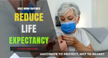 Do mRNA Vaccines Impact Longevity? Debunking Life Expectancy Myths