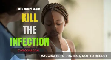 Mumps Vaccine: Does It Eliminate the Infection Effectively?