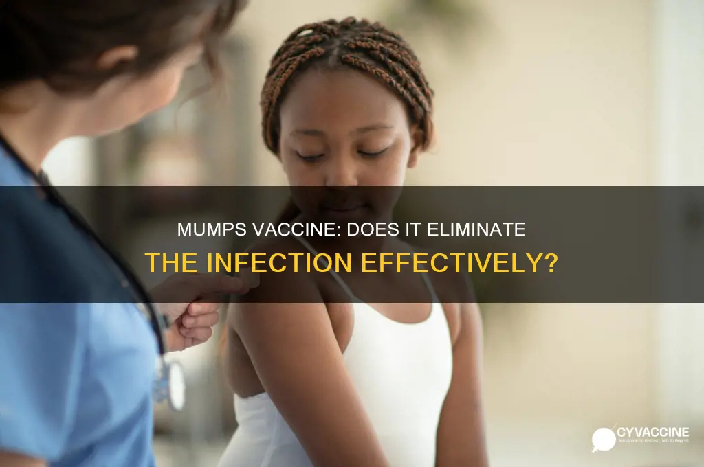 does mumps vaccine kill the infection