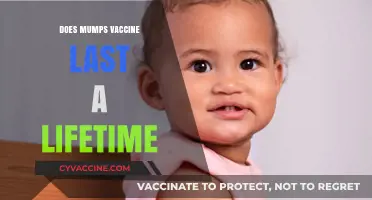 Mumps Vaccine Longevity: Does Immunity Truly Last a Lifetime?