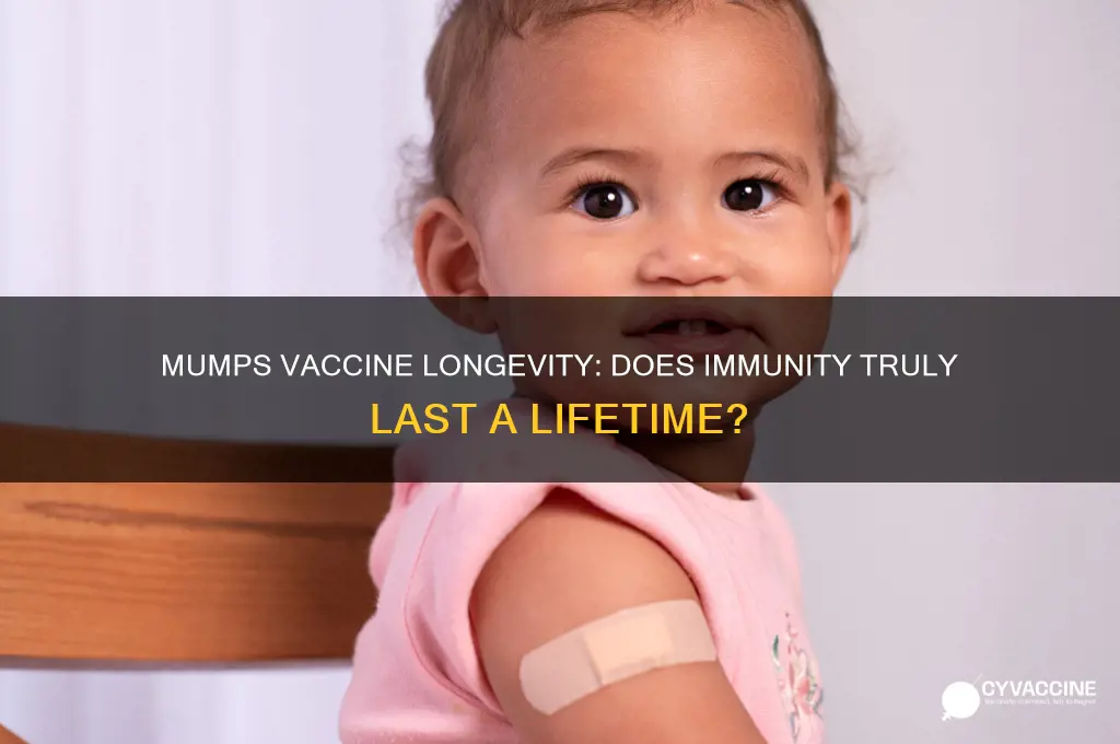 does mumps vaccine last a lifetime