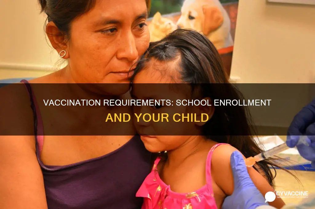 does my child have to be fully vaccinated for school