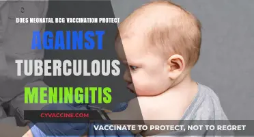 BCG Vaccination: Effective Protection Against Tuberculous Meningitis?