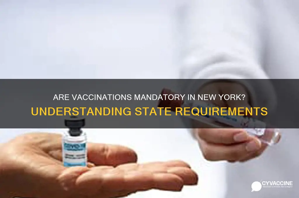 does new york have mandatory vaccinations