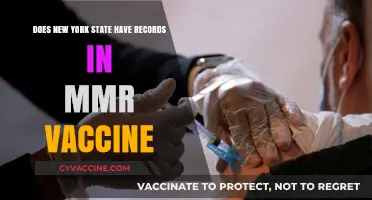MMR Vaccine Records: New York State's Approach