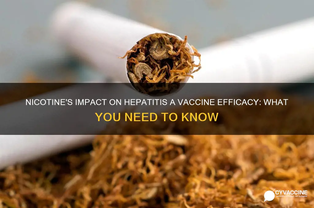 does nicotine affect hep a vaccine