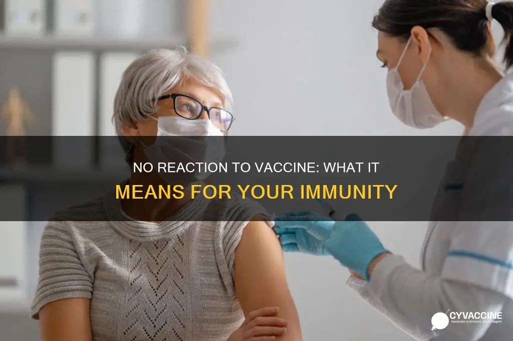 does no reaction to vaccine mean