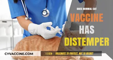 Does the Standard Cat Vaccine Include Distemper Protection?