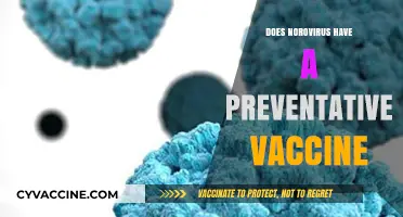 Norovirus Vaccine: Current Status and Prevention Strategies Explained